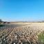 land for sale pano arodes paphos 1648566 thumbnail 4215414