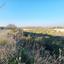 land for sale pano arodes paphos 1648566 thumbnail 4215415