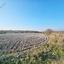 land for sale pano arodes paphos 1648566 thumbnail 4215418