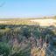 land for sale pano arodes paphos 1648566 thumbnail 4215423
