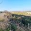 land for sale pano arodes paphos 1648566 thumbnail 4215425