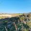 land for sale pano arodes paphos 1648566 thumbnail 4215426