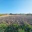 land for sale pano arodes paphos 1648566 thumbnail 4215428