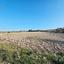 land for sale pano arodes paphos 1648566 thumbnail 4215431