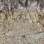 land for sale agios athanasios limassol 8145666 thumbnail 13421500