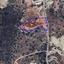 land for sale agios athanasios limassol 8145666 thumbnail 13421502