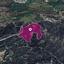 land for sale lysos paphos 1897666 thumbnail 14207259