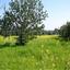 land for sale mazotos larnaca 8106666 thumbnail 13246246
