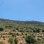 land for sale pachna limassol 945666 thumbnail 17102726