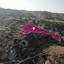 land for sale theletra paphos 8629666 thumbnail 15869485