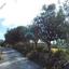 16723 SQM Land for sale in Drynia, Paphos thumbnail 16015752