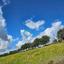 land for sale drynia paphos 7879766 thumbnail 16015745