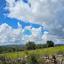 land for sale drynia paphos 7879766 thumbnail 16015746