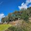 land for sale drynia paphos 7879766 thumbnail 16015750