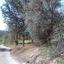 land for sale drynia paphos 7879766 thumbnail 16015751
