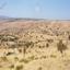 16093 SQM Land for sale in Pentalia, Paphos thumbnail 15599808
