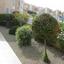 3 bedroom apartment for sale tremithousa paphos 8941866 thumbnail 17685327