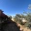 3 bedroom bungalow for sale aradippou larnaca 1868966 thumbnail 9828730