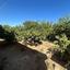 3 bedroom bungalow for sale aradippou larnaca 1868966 thumbnail 9828731