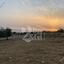 8 bedroom detached house for sale peyia paphos 1896966 thumbnail 7213770