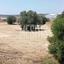 studio warehouse for sale tseri nicosia 974966 thumbnail 11037335