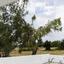 4 bedroom detached house for rent souni zanakia limassol 8604076 thumbnail 15760874