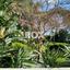 4 bedroom penthouse for sale limassol municipality limassol 1160076 thumbnail 5535799