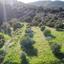 land for sale fasoula lemesou limassol 1506076 thumbnail 14127712