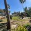 3 bedroom apartment for sale potamos germasogeias limassol 8917176 thumbnail 17520472