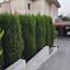 3 bedroom detached house for sale moni limassol 7604276 thumbnail 9755960