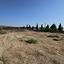 land for sale agios theodoros larnacas larnaca 8634276 thumbnail 15898025