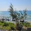 land for sale agios theodoros larnacas larnaca 8634276 thumbnail 15898026