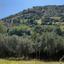 land under offer pomos paphos 1847276 thumbnail 6650490
