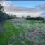 land under offer pomos paphos 1847276 thumbnail 6650495