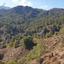 24750 SQM Land for sale in Agios Mamas, Limassol thumbnail 15602250