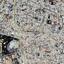 plot for sale acropolis nicosia 1357376 thumbnail 16738775