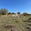land for sale vasa kilaniou limassol 1146476 thumbnail 5557218