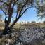 land for sale vasa kilaniou limassol 1146476 thumbnail 5557221