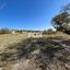 land for sale vasa kilaniou limassol 1146476 thumbnail 5557235