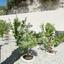 3 bedroom detached house off market peyia paphos 7495576 thumbnail 12588058