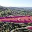 land for sale lysos paphos 8237576 thumbnail 14230902
