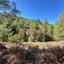 plot for sale moniatis limassol 1501576 thumbnail 17239169