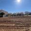 plot for sale pano lakatamia nicosia 8785576 thumbnail 16655327