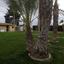 4 bedroom detached house for sale pervolia larnaca 957676 thumbnail 5594532