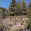 land for sale fterikoudi nicosia 945676 thumbnail 9439594