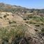 land for sale ora larnaca 8726676 thumbnail 16333309