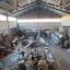 studio warehouse for sale agios silas limassol 8350676 thumbnail 14432589