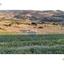 58195 SQM Land for sale in Filousa Chrysoxous, Paphos thumbnail 14843954