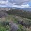 14866 SQM Land for sale in Silikou, Limassol thumbnail 15864100