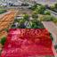 land for sale dekeleia larnaca 7822776 thumbnail 10696269